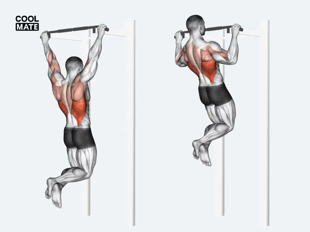 Kỹ thuật kéo xà đơn Pull-up cho cơ xô và lưng Kỹ thuật kéo xà đơn Pull-up cho cơ xô và lưng
