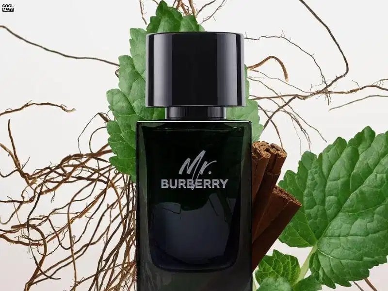Nước hoa Burberry Các dòng nước hoa cao cấp của Burberry