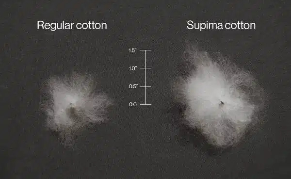 Supima cotton chất lượng cao Bề mặt vải dệt từ sợi Supima cotton cao cấp