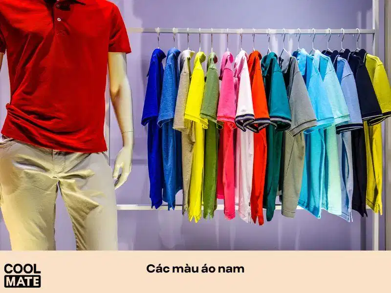 Tổng hợp những màu áo phù hợp để mặc ở nhà Bảng màu áo thun mặc nhà nam phong phú