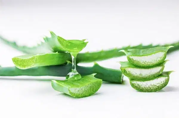 Dùng gel nha đam tươi dưỡng ẩm da quanh mắt