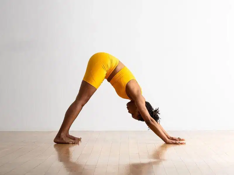 Tư thế Chó úp mặt Downward-Facing Dog chuẩn kỹ thuật kéo dài lưng