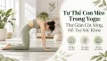 Tư Thế Con Mèo Trong Yoga: Thư Giãn Cột Sống, Hỗ Trợ Sức Khỏe