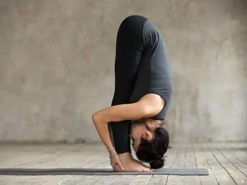 Tư thế đứng gập người Uttanasana kéo giãn cơ gân kheo và lưng Tư thế đứng gập người Uttanasana kéo giãn cơ gân kheo và lưng
