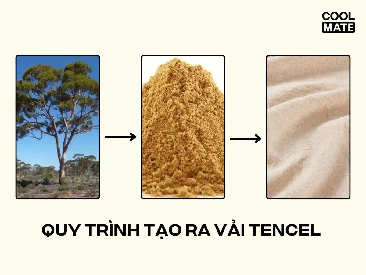 Vải tencel được làm từ bột gỗ Vải tencel được làm từ bột gỗ
